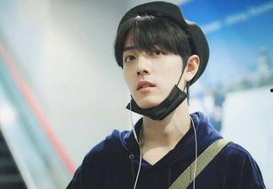 娱乐吃瓜菌肖战粉丝,娱乐吃瓜菌的狂欢盛宴