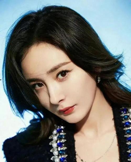 娱乐吃瓜 明星排行榜,吃瓜群众心中的明星风云录