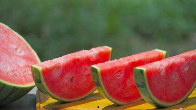 娱乐吃瓜模板素材视频大全