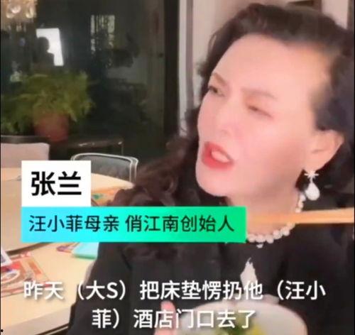 娱乐吃瓜酱都说了还得看亲妈,真相究竟如何？