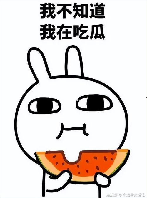 娱乐吃瓜酱肥肥猪的日常,笑料百出，趣味横生